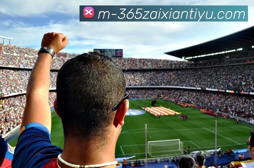 beat365平台生态图